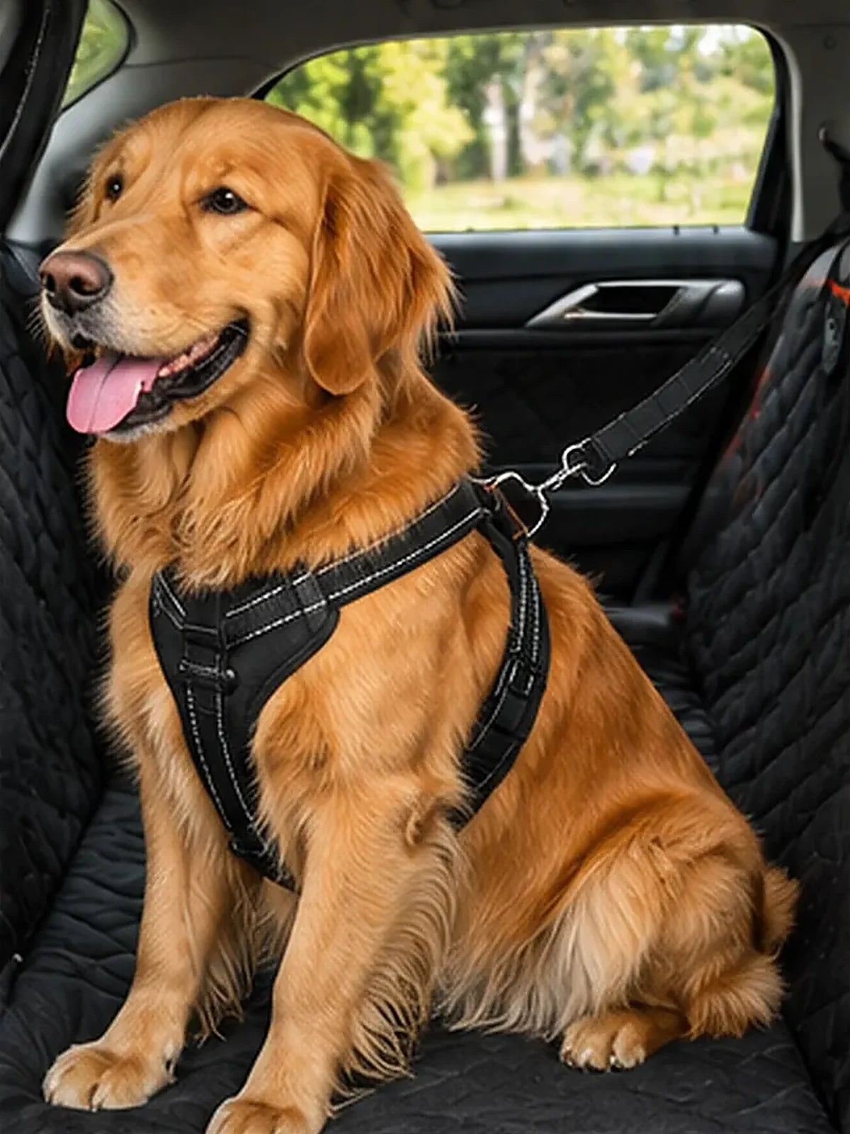 Golden retriever sentado con arnés sobre la funda Copilán