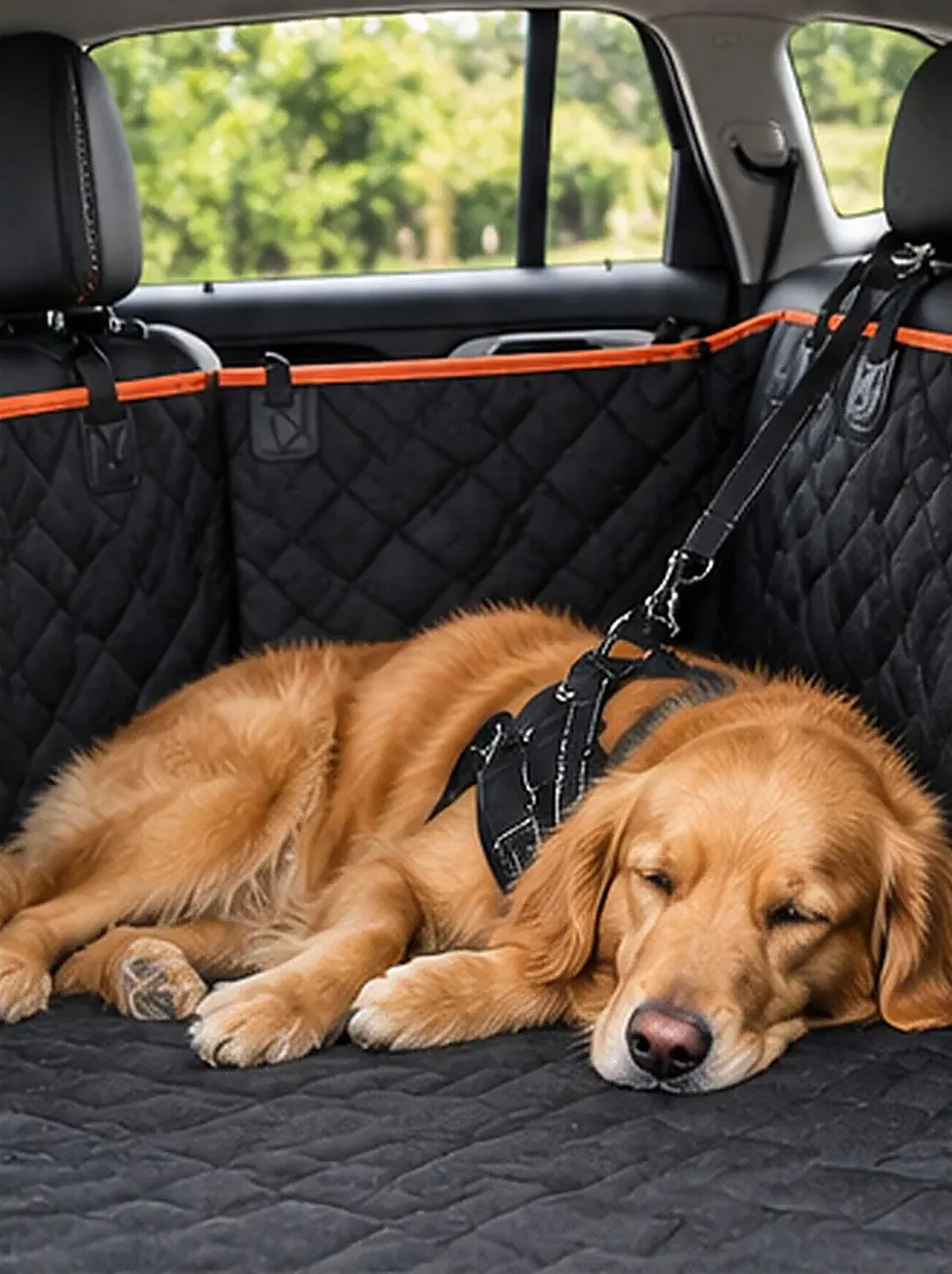 Perro tumbado en el asiento trasero